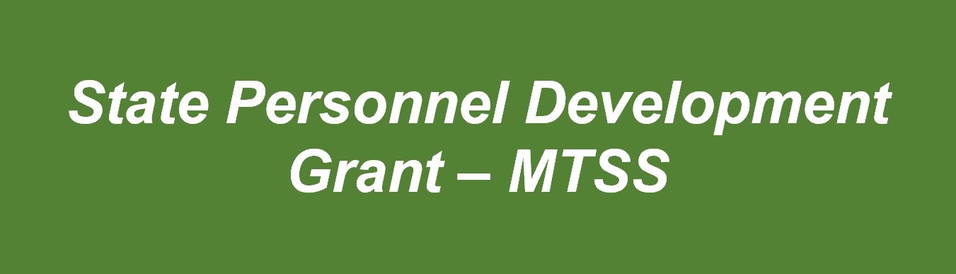 State Personnel Development Grant Button